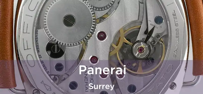  Panerai Surrey
